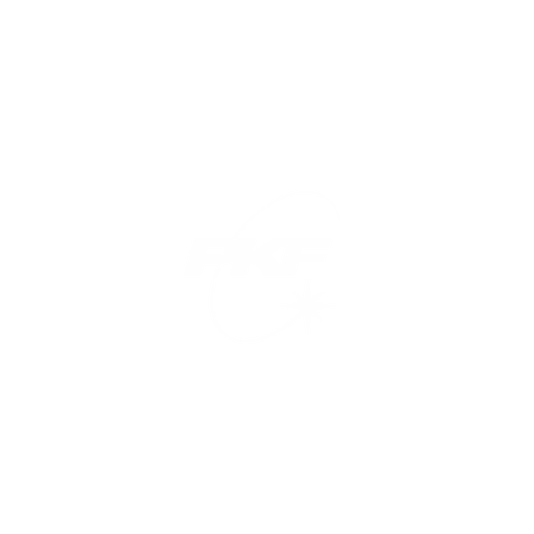 Logo PKF Center